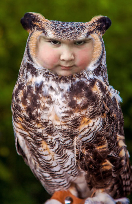 Unhappy Girl Holds An Owl, The Internet Reacts Accordingly (17 pics)