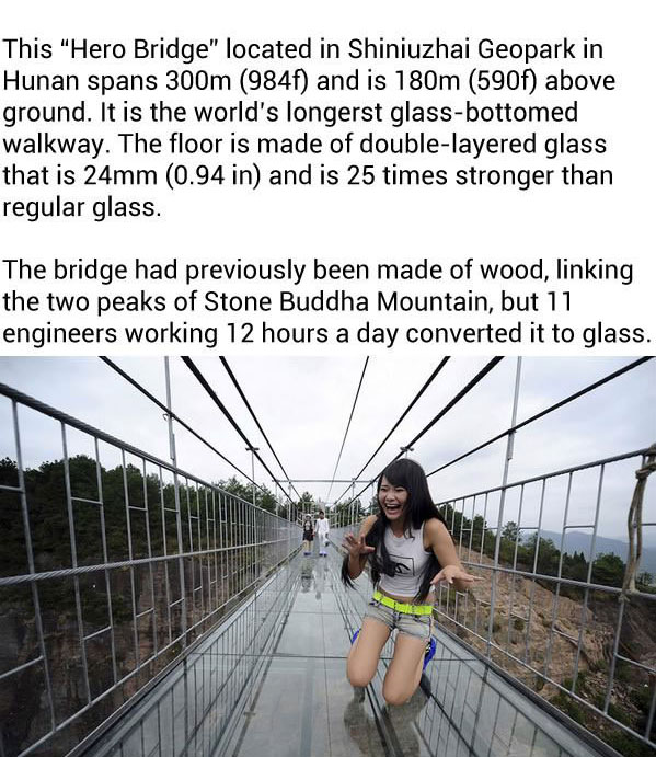 China Is Home To The World's Longest Glass Bridge And It's Insane (8 pics)