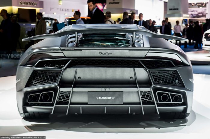 Mansory Knows How To Take Your Ride To The Next Level (18 pics)