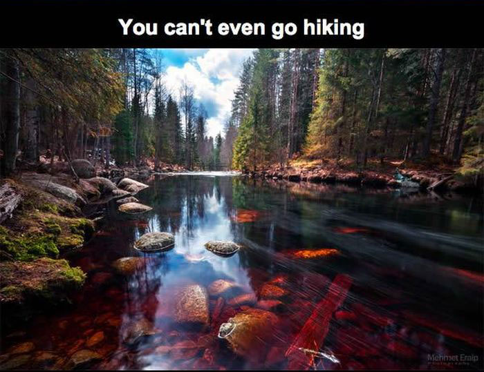 Why People From Finland Don't Want You To Visit Finland (15 pics)