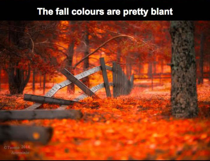 Why People From Finland Don't Want You To Visit Finland (15 pics)