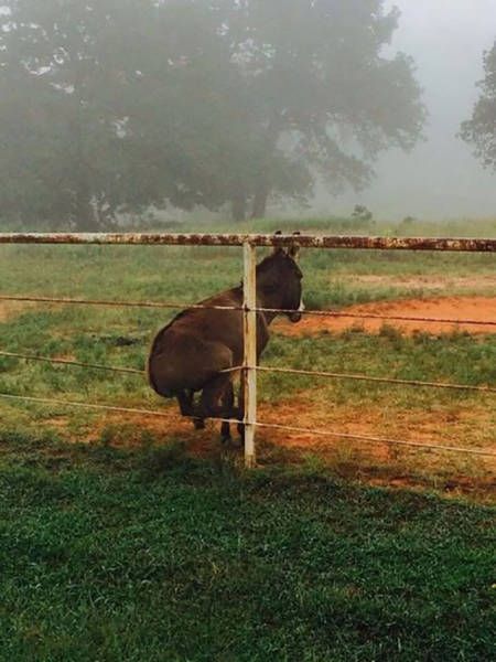 Awesome Photos. Part 49 (40 pics)