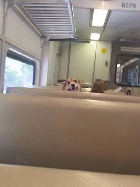 Awesome Photos. Part 49 (40 pics)