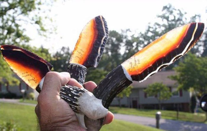 Awesome Photos. Part 49 (40 pics)