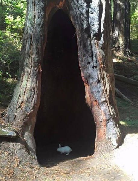Awesome Photos. Part 49 (40 pics)