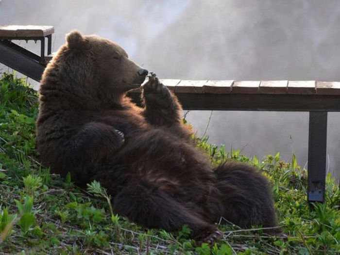 Awesome Photos. Part 49 (40 pics)
