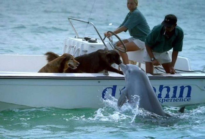 Awesome Photos. Part 49 (40 pics)