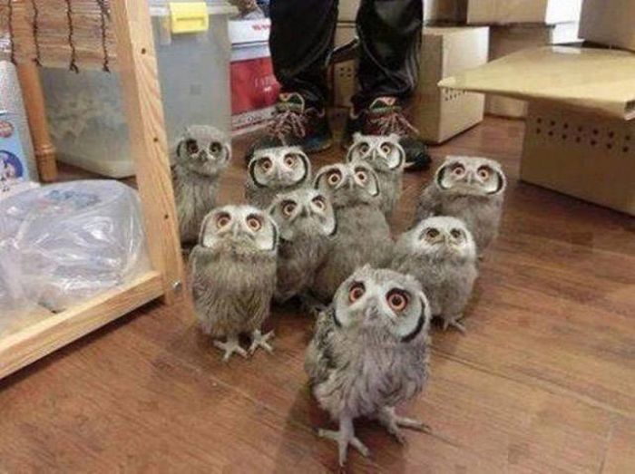 Awesome Photos. Part 49 (40 pics)