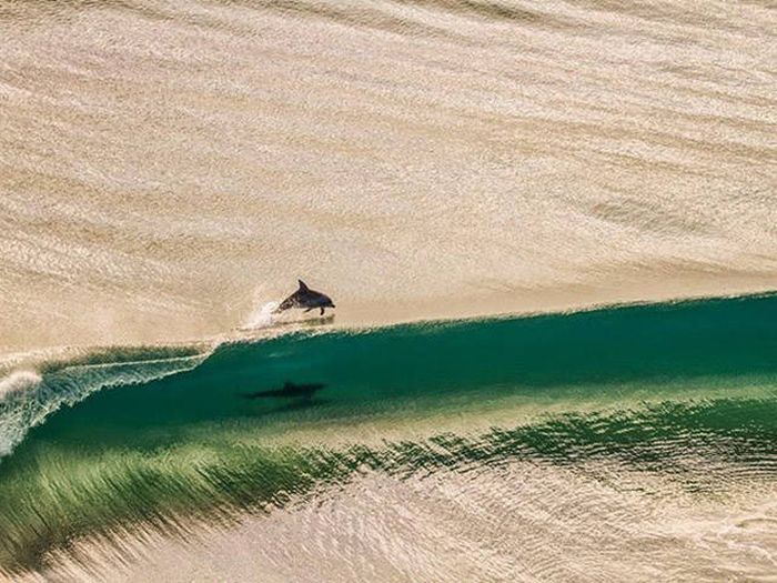 Awesome Photos. Part 49 (40 pics)