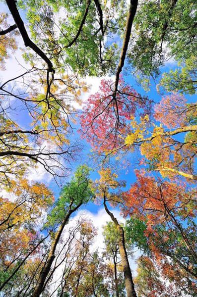Awesome Photos. Part 49 (40 pics)