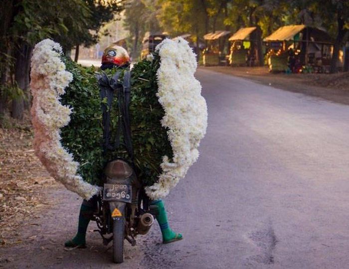 Awesome Photos. Part 49 (40 pics)