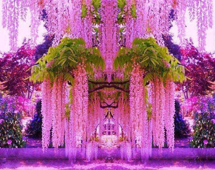 Awesome Photos. Part 49 (40 pics)