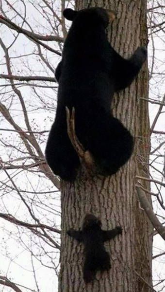Awesome Photos. Part 49 (40 pics)