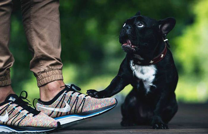 Awesome Photos. Part 49 (40 pics)