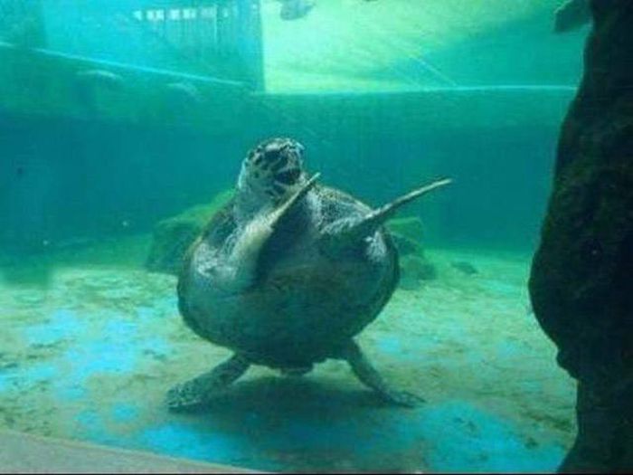 Awesome Photos. Part 49 (40 pics)