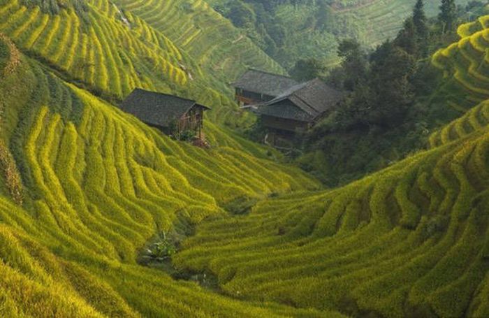 Awesome Photos. Part 49 (40 pics)