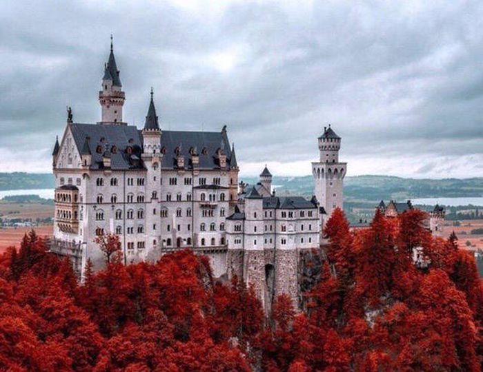 Awesome Photos. Part 49 (40 pics)