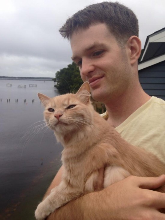 House Cat Freaks Out When It Sees The Outside World For The First Time (4 pics)