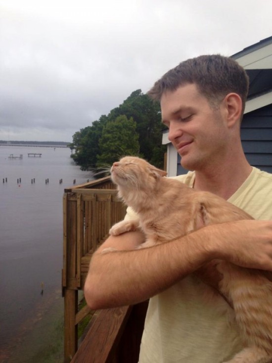 House Cat Freaks Out When It Sees The Outside World For The First Time (4 pics)