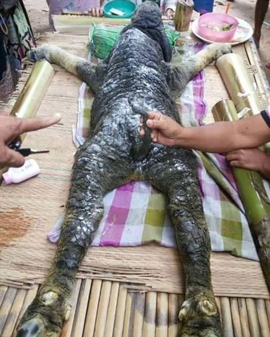 A Strange Buffalo Was Recently Discovered In Thailand (3 pics + video)