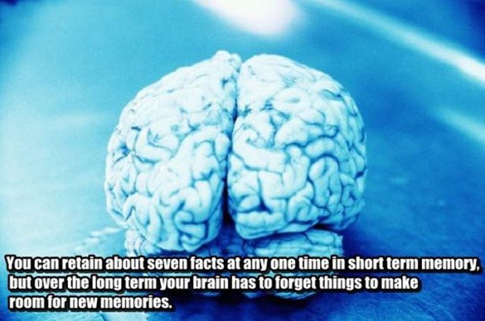 Interesting And Incredible Facts For Your Brain To Devour (27 pics)