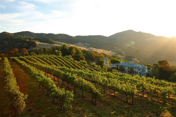 Robin Williams' Vineyard Now On The Market For $22.9 Million (9 pics)