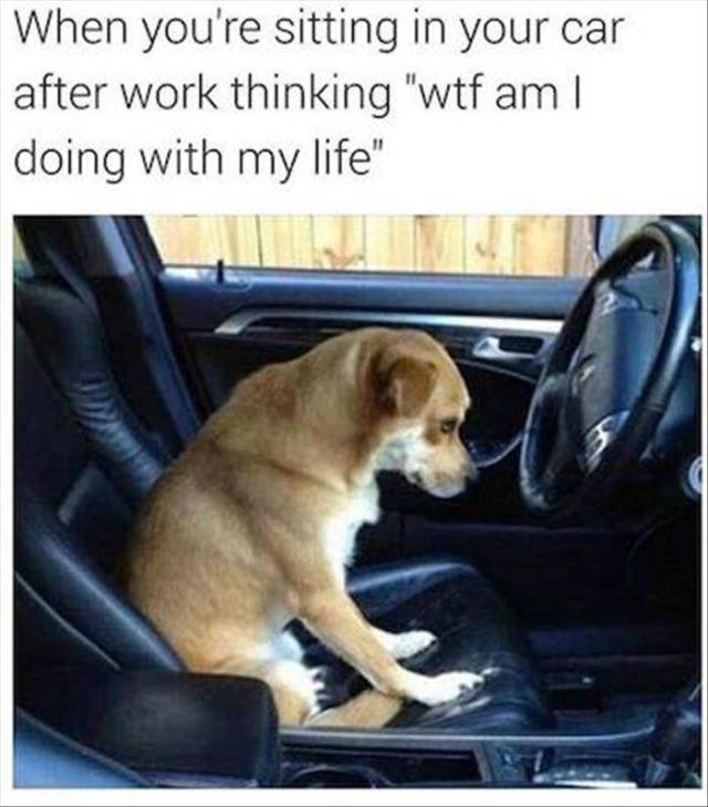 Acid Picdump (124 pics)