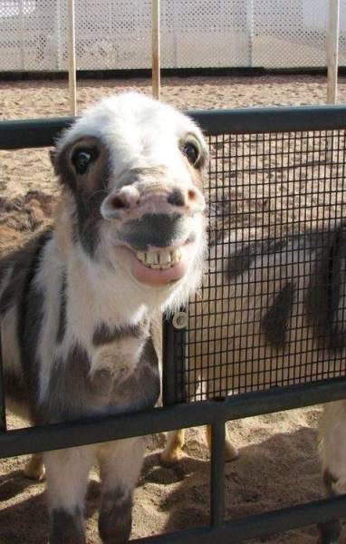 Acid Picdump (124 pics)