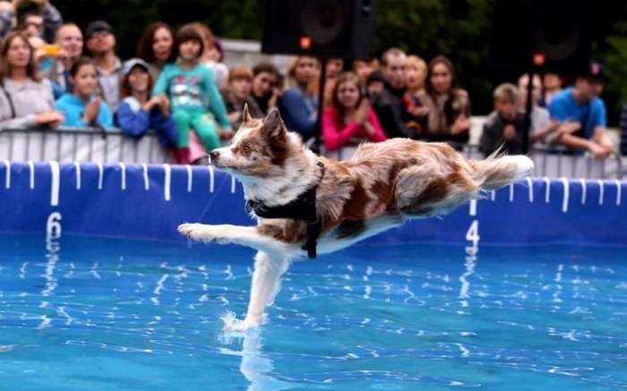 Picture Perfect Photos That Were Perfectly Timed (30 pics)