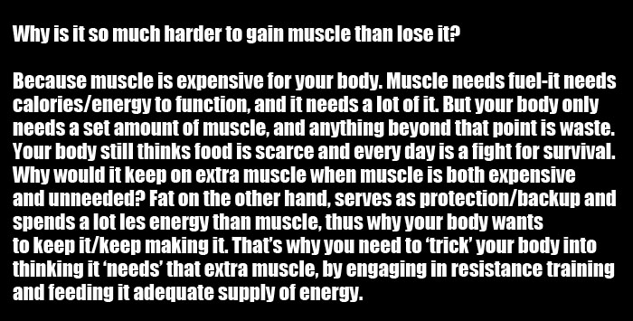 Losing Muscle Is Easy, Gaining It Is The Hard Part (2 pics)