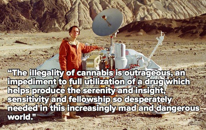 Truth Bombs That Are About To Blow Up In Your Face (32 pics)