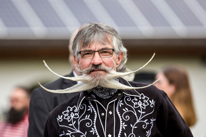 The Most Epic Facial Hair From The 2015 World Beard And Moustache Championships (15 pics)