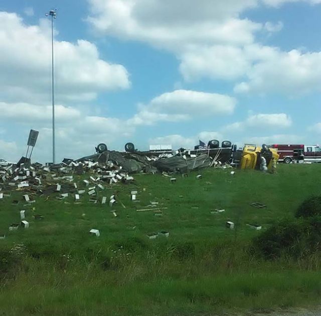 Thousands Of Bees Set Free During Car Accident (3 pics)