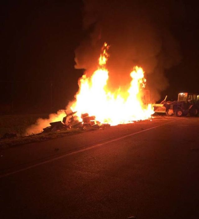 Thousands Of Bees Set Free During Car Accident (3 pics)