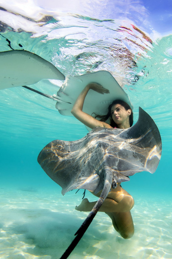 Underwater Photos Show Gorgeous Models Swimming With Stingrays (10 pics)