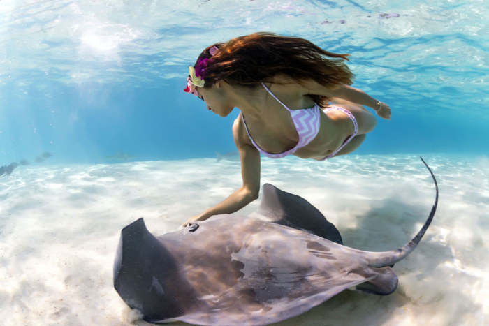 Underwater Photos Show Gorgeous Models Swimming With Stingrays (10 pics)