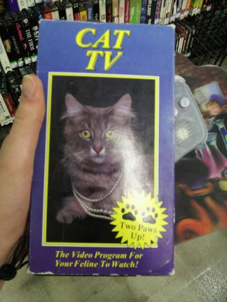 Awesome Items That You Could Only Find At The Thrift Shop (53 pics)