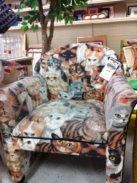 Awesome Items That You Could Only Find At The Thrift Shop (53 pics)