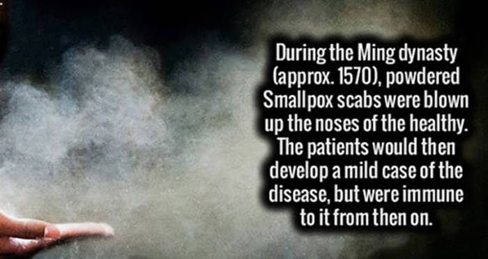 Fun And Fascinating Facts That Will Give Your Brain A Workout (31 pics)