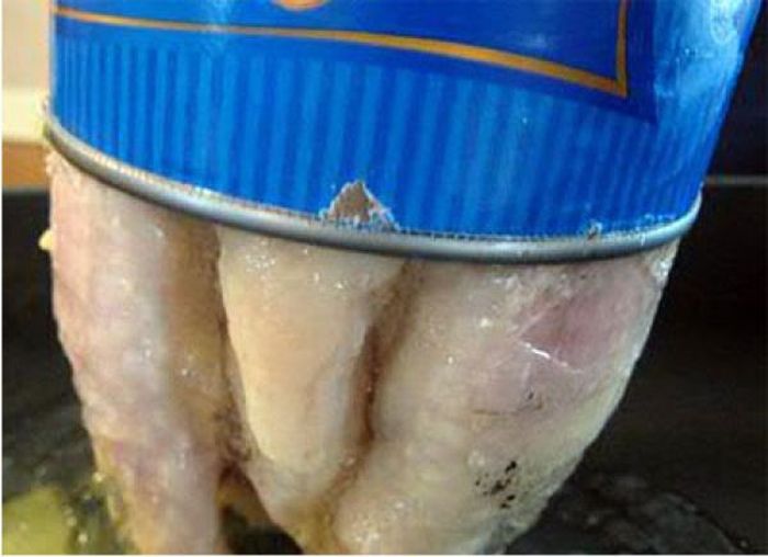 This Is What Canned Chicken Looks Like (4 pics)