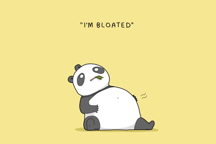 Excuses Pandas Give When They Don't Want To Have Sex (12 pics)