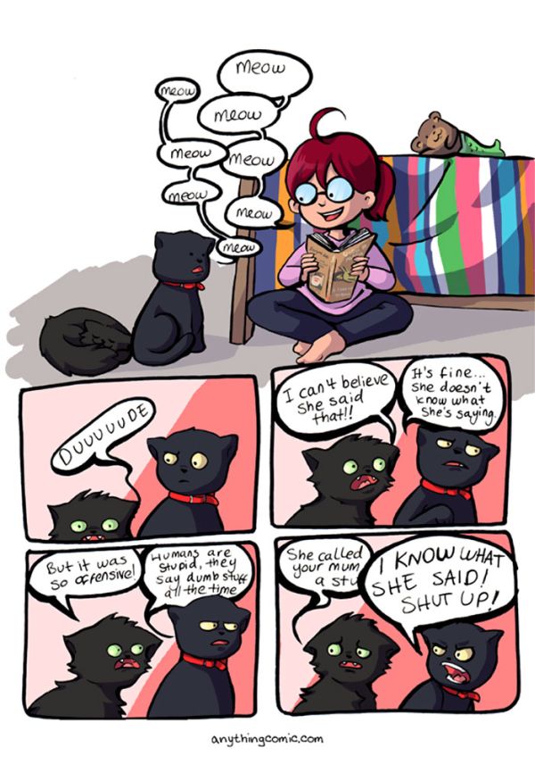 Comics That Tell You Everthing You Need To Know About Life With Cats (33 pics)