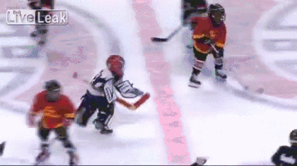 Hilarious Hockey Gifs That Have Everything You Need For A Good Laugh (14 gifs)