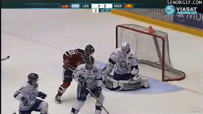 Hilarious Hockey Gifs That Have Everything You Need For A Good Laugh (14 gifs)