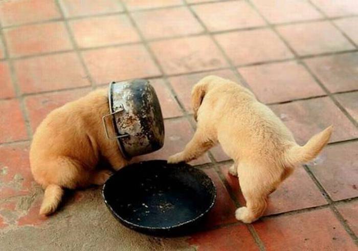 Acid Picdump (112 pics)