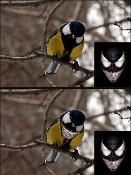 Acid Picdump (112 pics)