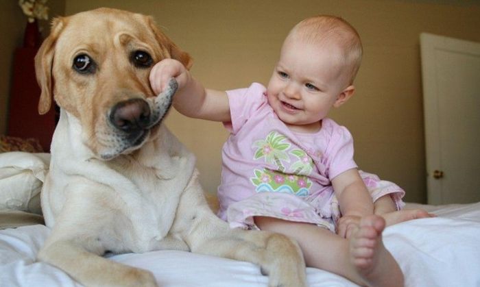Acid Picdump (112 pics)