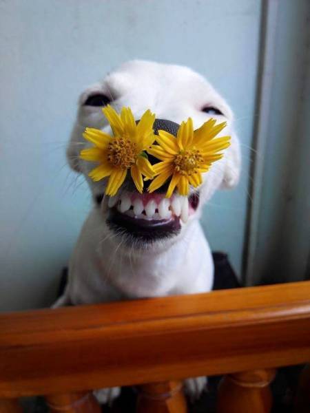 Acid Picdump (112 pics)