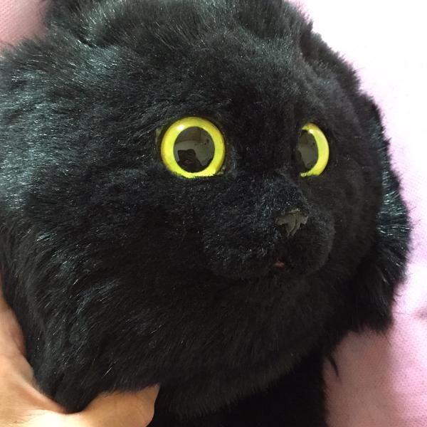 These Cat Purses Look Very Close To The Real Deal (10 pics)