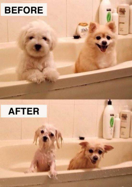 Funny Before and After Pictures That Tell It Like It Is (30 pics)